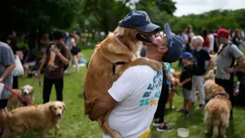 A Symphony of Woofs: This Is What Happens When 2,397 Golden Retrievers Gather in an Argentina Park